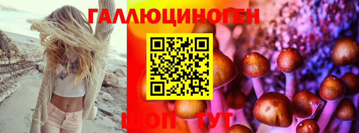 Псилоцибиновые грибы прущие грибы Иваново