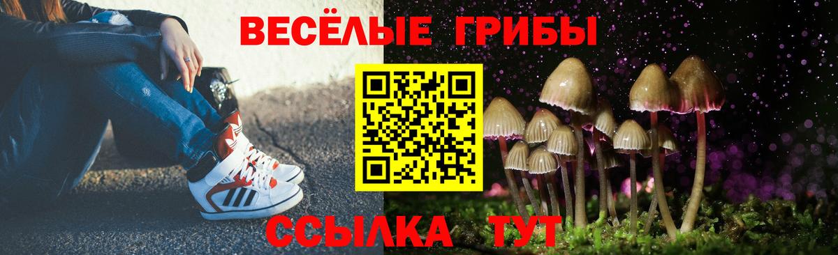 Иваново  Галлюциногенные грибы Psilocybine cubensis  Галлюциногенные грибы Magic Shrooms  Вход с VPN 